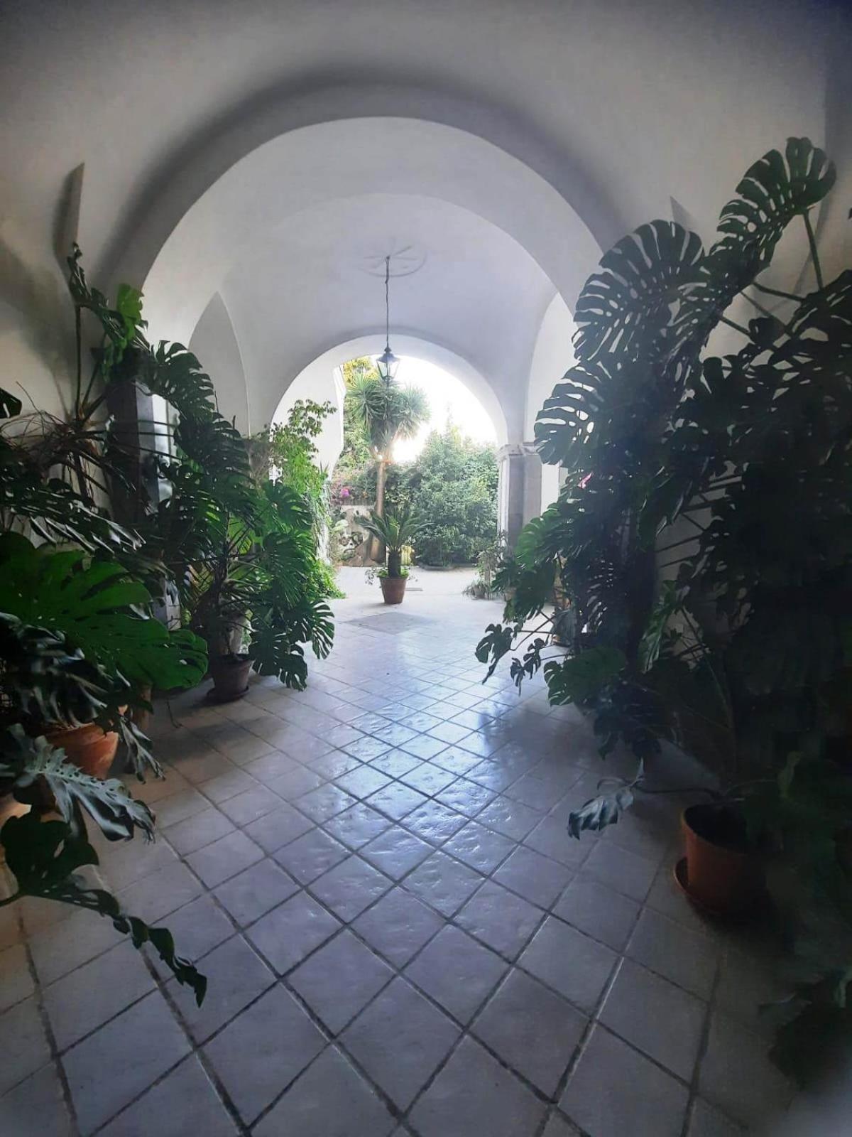 La Casa Delle Camelie Hotel Meta Exterior photo